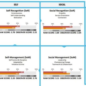 Emotional Intelligence EIQ2-360 Assessment & Coach Analysis