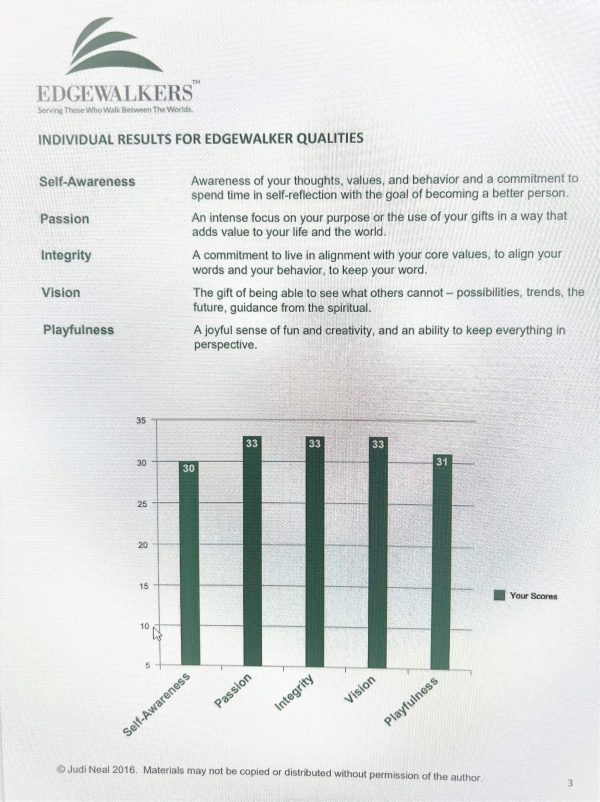 Edgewalker Assessment & Coach Analysis