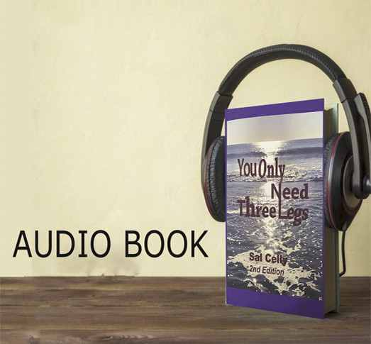 Audio Book