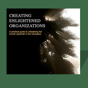 CREATING ENLIGHTENED ORGANIZATIONS-by Judi Neal (Paperback)