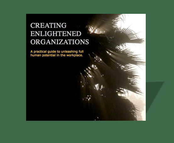 CREATING ENLIGHTENED ORGANIZATIONS-by Judi Neal (Paperback)